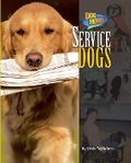 Cover: Service Dogs - Bearport Books