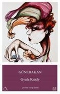 Cover: G&uuml;nebakan - Aylak Adam