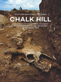 Enlarge image Cover: Chalk Hill - Sidestone Press