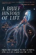 Cover: A Brief History of Life - Mango Media