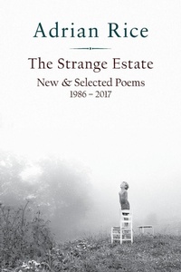 Enlarge image Cover: The Strange Estate - Press 53