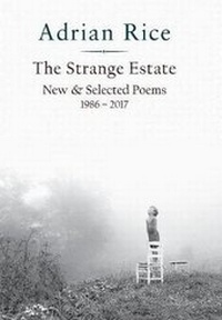 Enlarge image Cover: The Strange Estate - Press 53