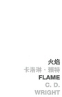 Cover: Flame - The Chinese University of Hong Kong Press