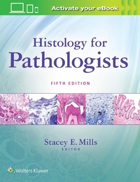Abbildung von: Histology for Pathologists - Lippincott Williams and Wilkins