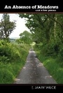 Cover: An Absence of Meadows and Other Poems - Wordcatcher Publishing