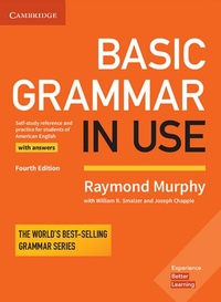 Abbildung von: Basic Grammar in Use - Klett