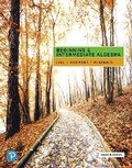 Cover: Beginning & Intermediate Algebra - Pearson