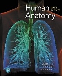 Enlarge image Cover: Human Anatomy - Pearson