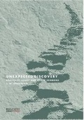 Cover: Unexpected Discovery - Beauchief Abbey Press