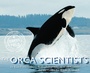 Cover: The Orca Scientists - HMH Books for Young Readers