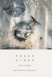 Enlarge image Cover: Trace Lines - Trace Lines Press