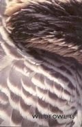 Cover: Wildfowl 45 - The Wildfowl & Wetlands Trust