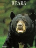 Cover: Bears - Mason Crest Publishers