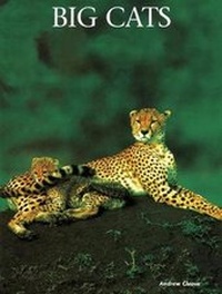 Enlarge image Cover: Big Cats - Mason Crest Publishers
