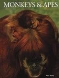 Cover: Monkeys & Apes - Mason Crest Publishers