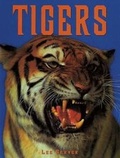 Cover: Tigers - Mason Crest Publishers
