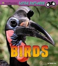 Enlarge image Cover: Birds - Raintree