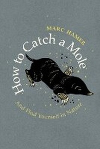 Enlarge image Cover: How to Catch a Mole - Harvill Secker