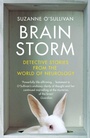 Cover: Brainstorm - Vintage