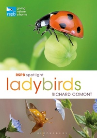Enlarge image Cover: RSPB Spotlight Ladybirds - Bloomsbury Wildlife