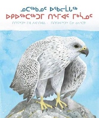 Enlarge image Cover: A Children's Guide to Arctic Birds - Inhabit Media Inc