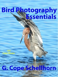 Abbildung von: Bird Photography Essentials - BOOKBABY