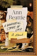 Cover: A Wonderful Stroke of Luck - Penguin Books