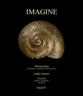 Cover: IMAGINE band 4 - Maurer, Nadja
