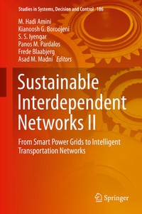 Enlarge image Cover: Sustainable Interdependent Networks II - Springer