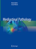 Bild: Mediastinal Pathology - Springer