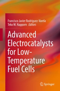 Abbildung von: Advanced Electrocatalysts for Low-Temperature Fuel Cells - Springer