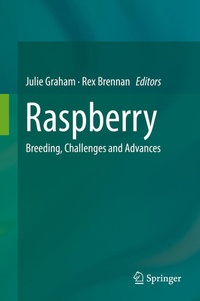 Enlarge image Cover: Raspberry - Springer