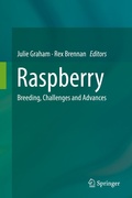Cover: Raspberry - Springer