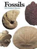 Cover: Fossils - Amber Books
