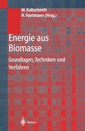 Cover: Energie aus Biomasse - Springer