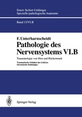 Abbildung von: Pathologie des Nervensystems VI.B - Springer