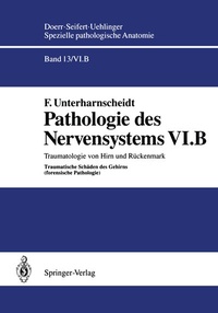 Abbildung von: Pathologie des Nervensystems VI.B - Springer