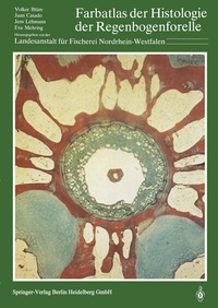 Abbildung von: Farbatlas der Histologie der Regenbogenforelle - Springer