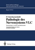 Abbildung von: Pathologie des Nervensystems VI.C - Springer