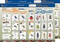 Cover: Key to Identifying Land Invertebrates - Gatekeeper Educational Limited