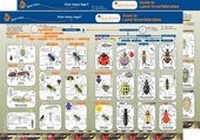 Enlarge image Cover: Key to Identifying Land Invertebrates - Gatekeeper Educational Limited