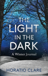 Abbildung von: The Light in the Dark - Elliott & Thompson