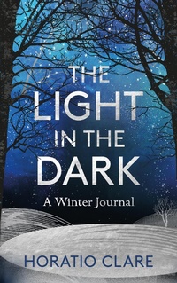 Enlarge image Cover: The Light in the Dark - Elliott & Thompson