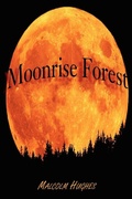 Cover: Moonrise Forest - Domilo