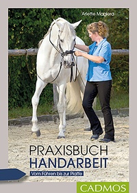 Abbildung von: Praxisbuch Handarbeit - Cadmos Verlag