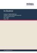 Cover: Im Bodetal - Roba Music Verlag