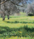 Cover: Open Space - Stour Valley Arts Ltd