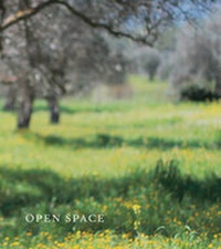 Enlarge image Cover: Open Space - Stour Valley Arts Ltd