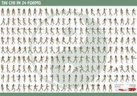 Enlarge image Cover: Tai Chi in 24 Forms - Tigernose Publishing