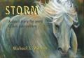 Cover: Storm - P3 Publications